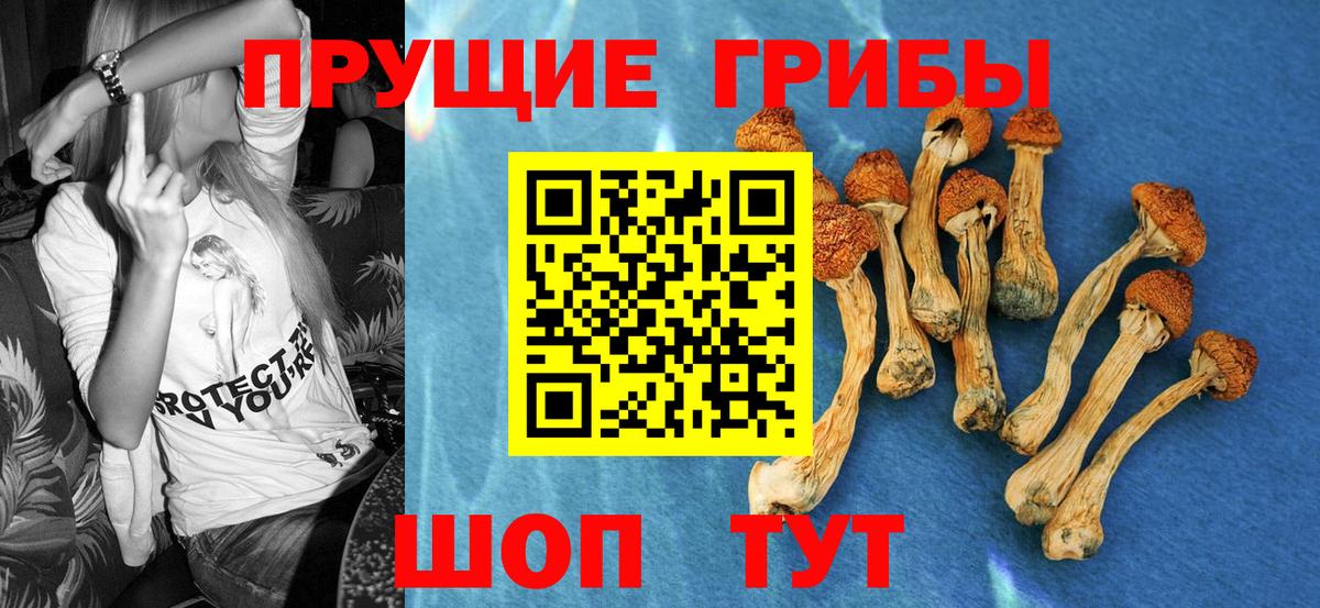 Азнакаево  Псилоцибиновые грибы MAGIC MUSHROOMS  Вход с VPN 